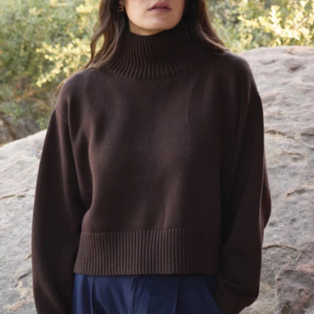 First Rite Crop Turtleneck Sweater in Walnut Brown size S